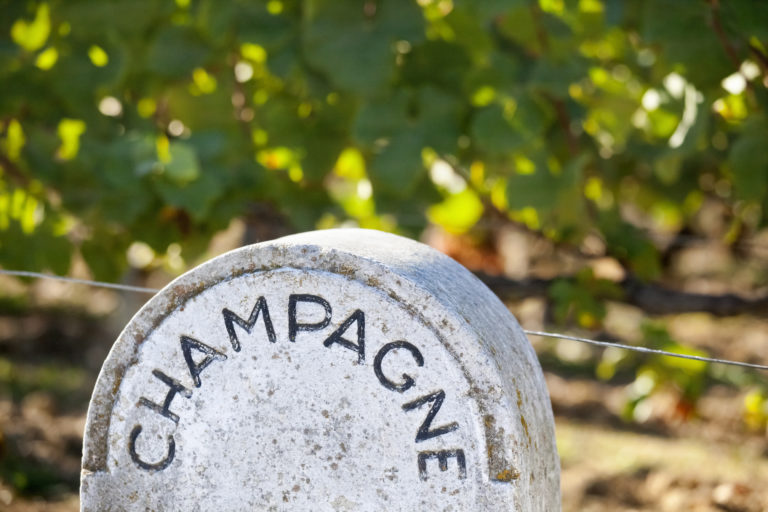 guide for champagne